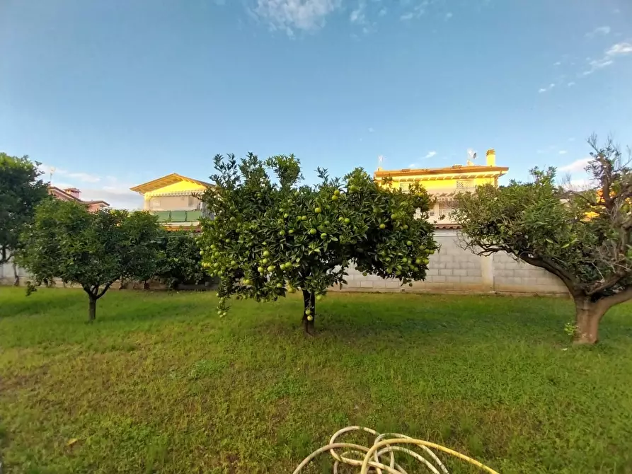 Immagine 7 di Villa in vendita  a Carrara