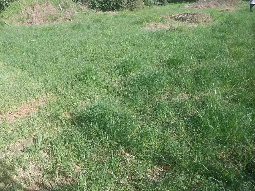 Immagine 3 di Porzione di casa in vendita  in Via Sarzanese a Massarosa