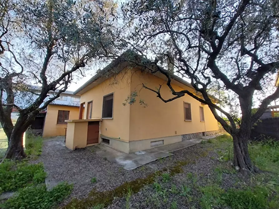 Immagine 4 di Casa indipendente in vendita  in Via Provinciale a Camaiore