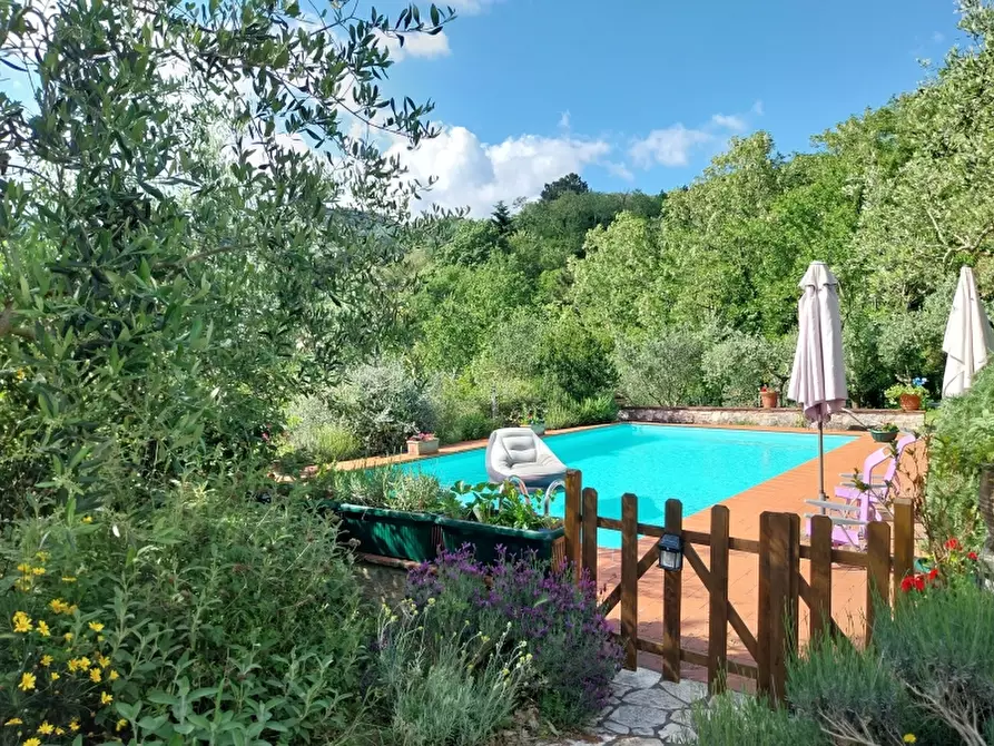 Immagine 11 di Casa indipendente in vendita  in Via seimiglia a Camaiore