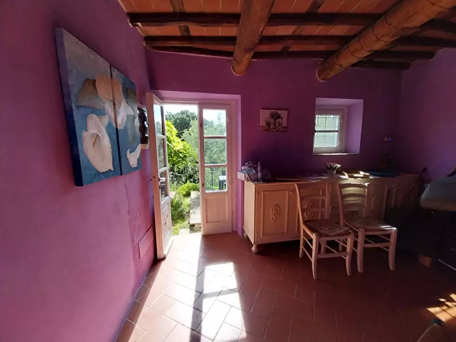 Immagine 12 di Casa indipendente in vendita  in Via seimiglia a Camaiore