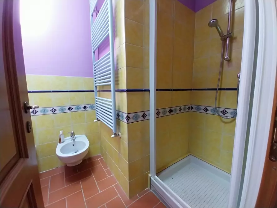 Immagine 18 di Casa indipendente in vendita  in Via seimiglia a Camaiore