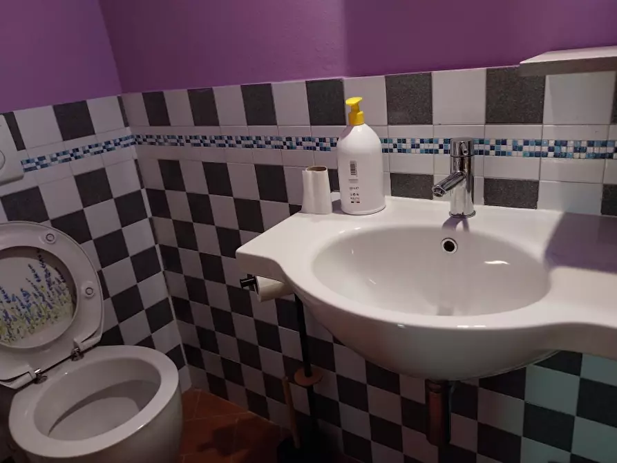 Immagine 23 di Casa indipendente in vendita  in Via seimiglia a Camaiore