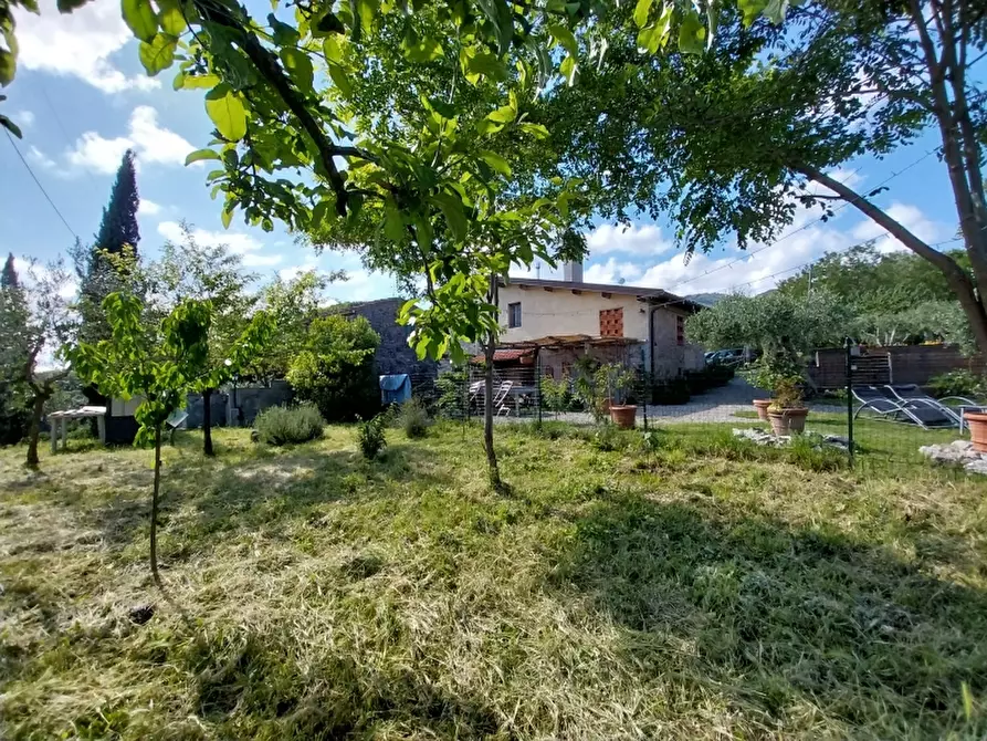 Immagine 5 di Casa indipendente in vendita  in Via seimiglia a Camaiore