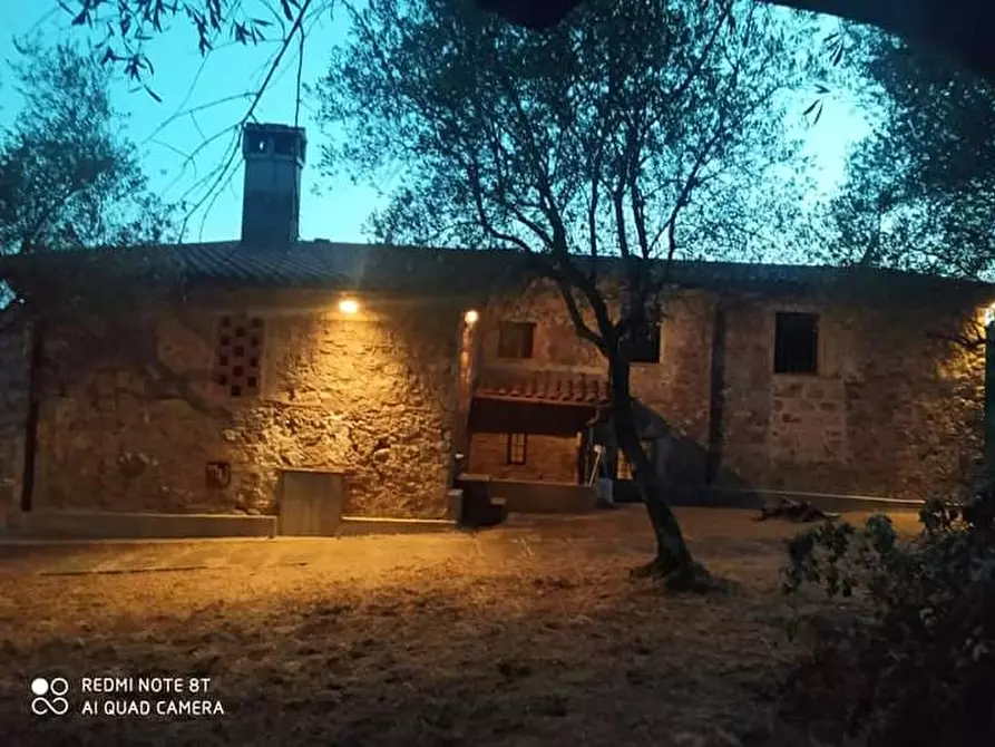 Immagine 4 di Casa indipendente in vendita  in Via seimiglia a Camaiore