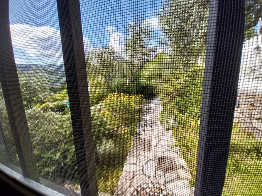 Immagine 10 di Casa indipendente in vendita  in Via seimiglia a Camaiore