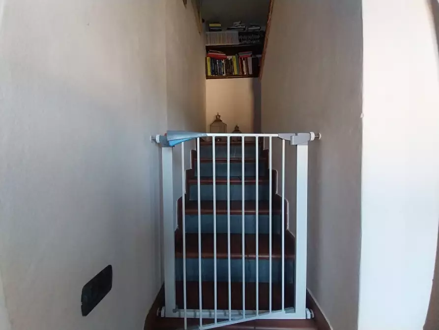 Immagine 32 di Casa indipendente in vendita  in Via Gusceri a Camaiore
