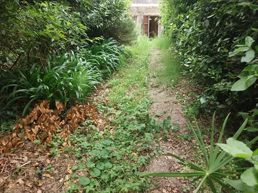 Immagine 27 di Casa semindipendente in vendita  in Via Bicocca a Massarosa
