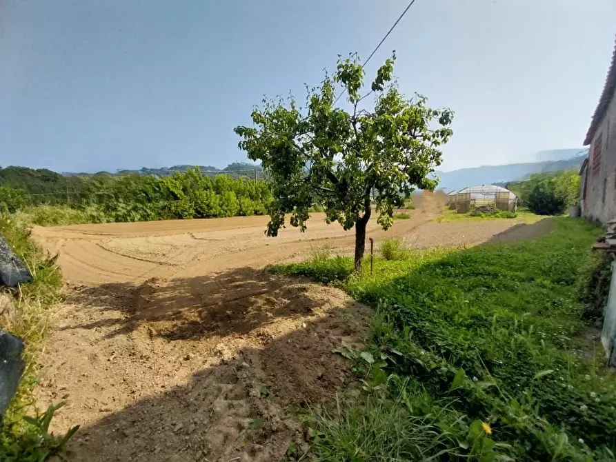 Immagine 4 di Rustico / casale in vendita  in Via Sarzanese 79 a Camaiore