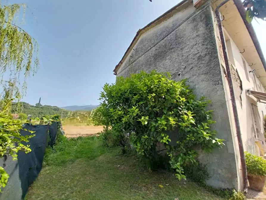 Immagine 3 di Rustico / casale in vendita  in Via Sarzanese 79 a Camaiore