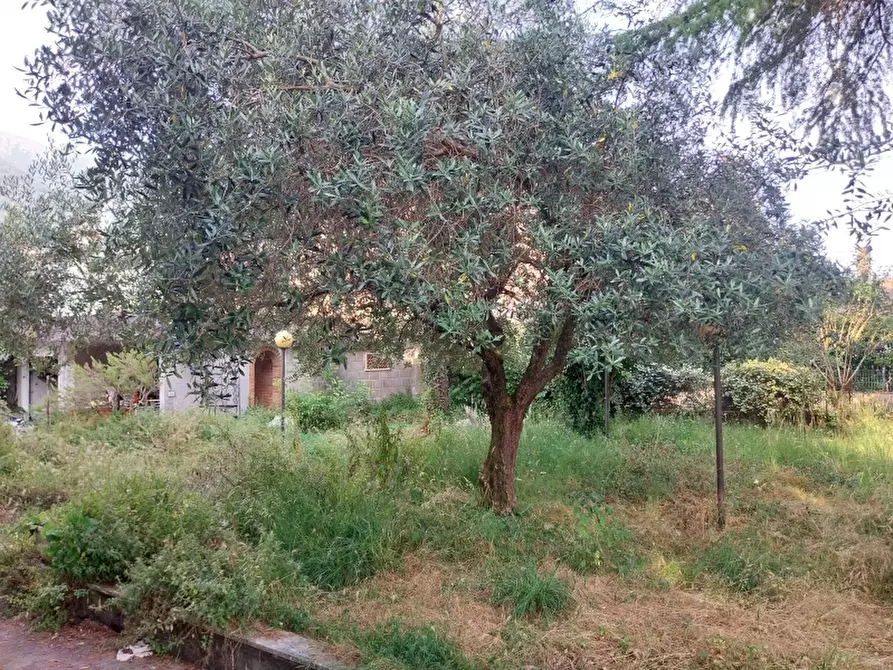 Immagine 10 di Villa in vendita  in Via Oberdan a Camaiore