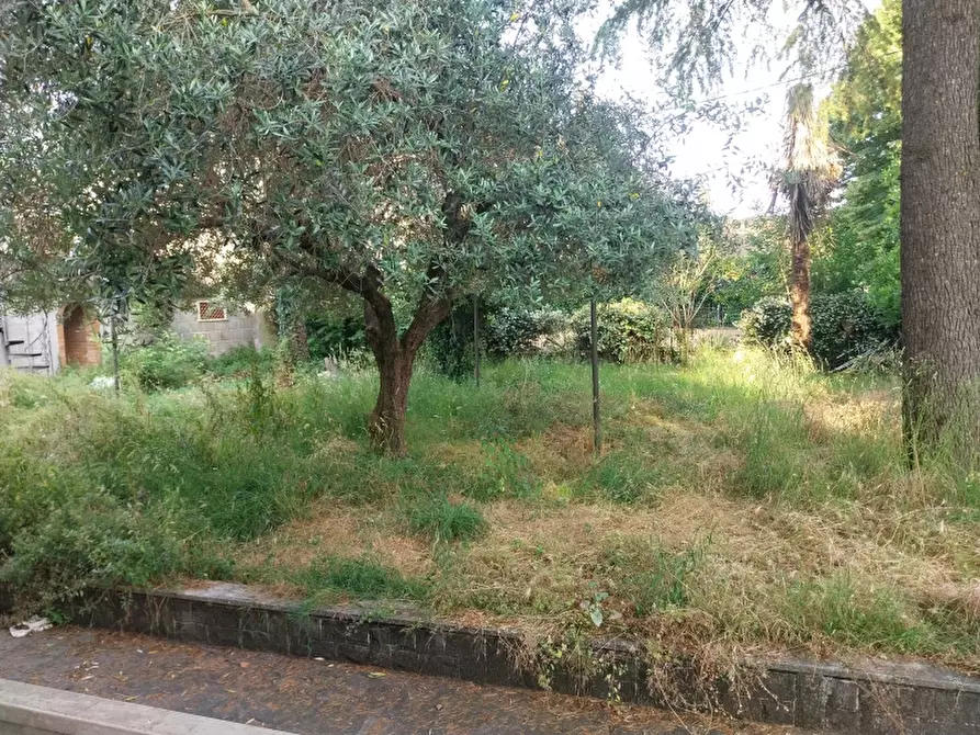 Immagine 12 di Villa in vendita  in Via Oberdan a Camaiore