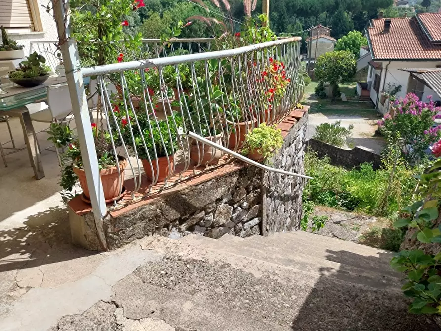 Immagine 4 di Casa indipendente in vendita  in Via carignoni a Camaiore