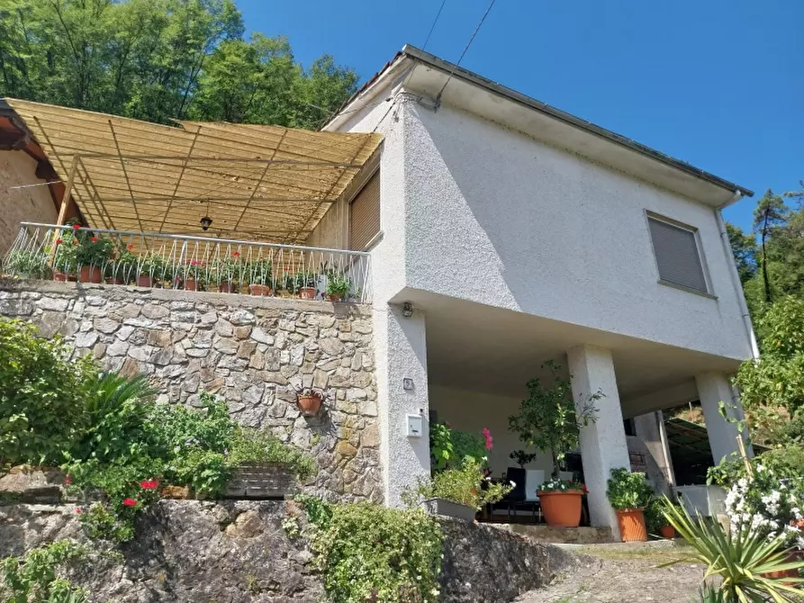 Immagine 1 di Casa indipendente in vendita  in Via carignoni a Camaiore