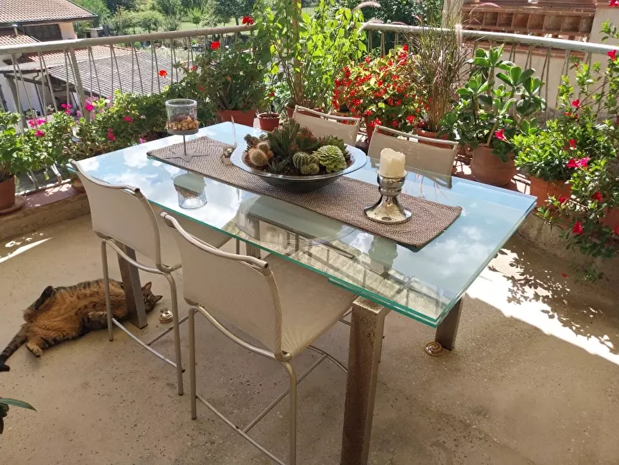 Immagine 19 di Casa indipendente in vendita  in Via carignoni a Camaiore