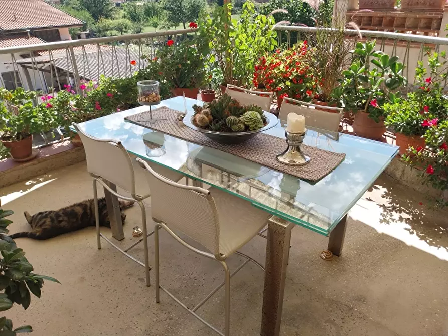 Immagine 20 di Casa indipendente in vendita  in Via carignoni a Camaiore