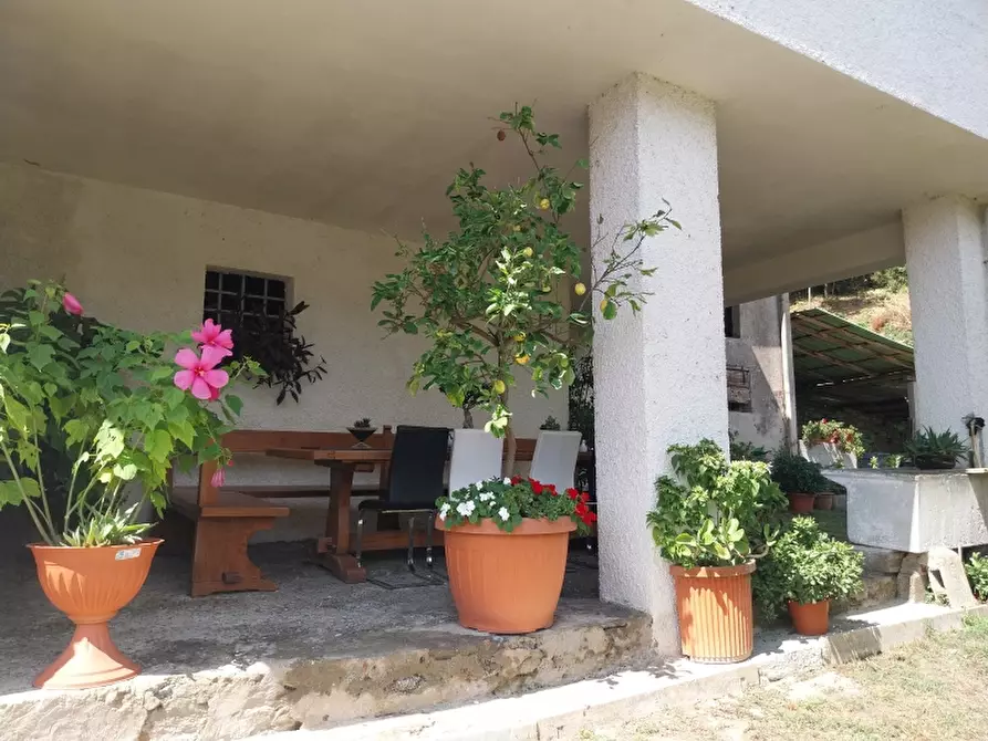 Immagine 23 di Casa indipendente in vendita  in Via carignoni a Camaiore