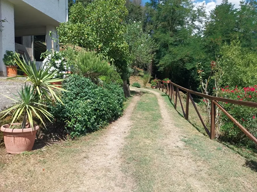 Immagine 25 di Casa indipendente in vendita  in Via carignoni a Camaiore