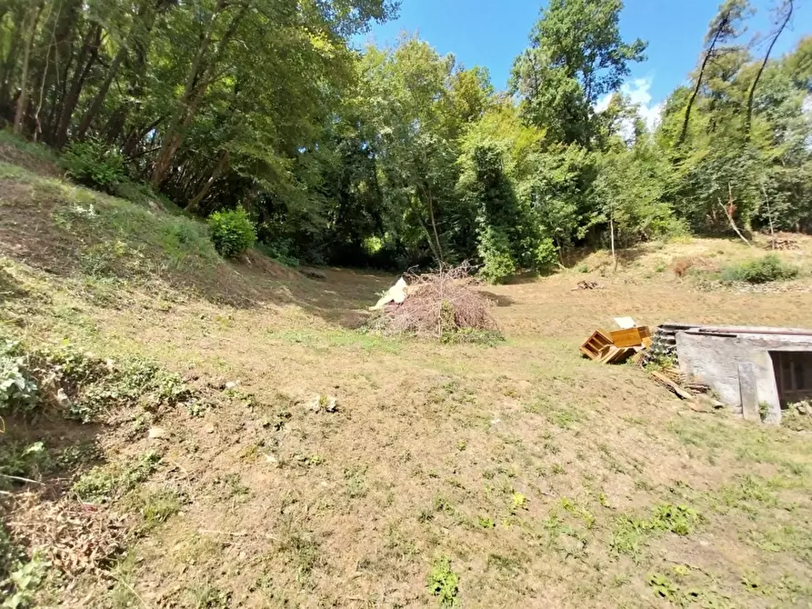 Immagine 3 di Casa indipendente in vendita  in Via carignoni a Camaiore