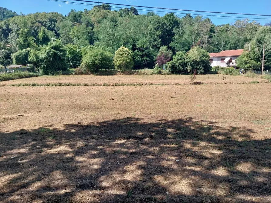 Immagine 1 di Terreno agricolo in vendita  in Via Carignoni 79 a Camaiore
