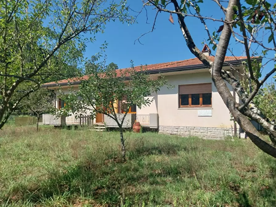 Immagine 1 di Casa indipendente in vendita  in Via Provinciale 4 a Camaiore