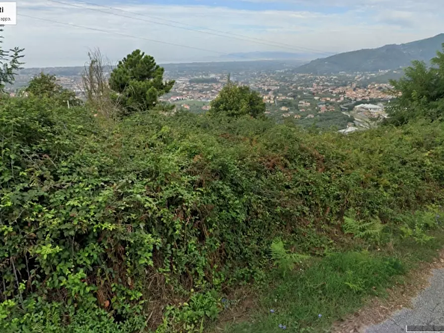 Immagine 2 di Rustico / casale in vendita  in Via Colle delle Guardie a Pietrasanta
