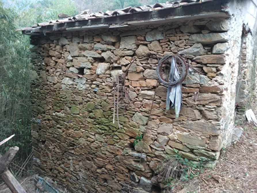 Immagine 11 di Rustico / casale in vendita  in Via Colle delle Guardie a Pietrasanta