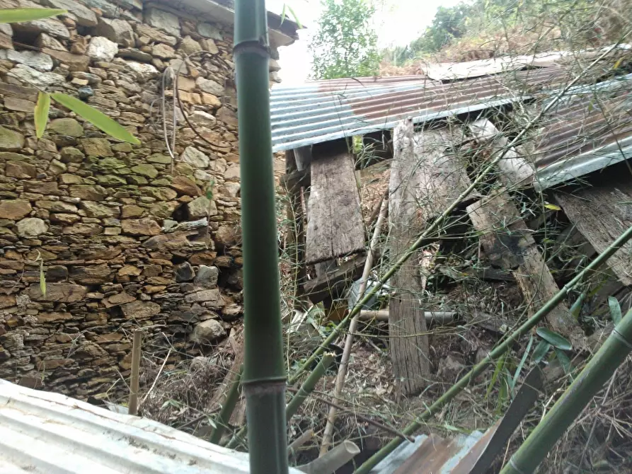 Immagine 4 di Rustico / casale in vendita  in Via Colle delle Guardie a Pietrasanta