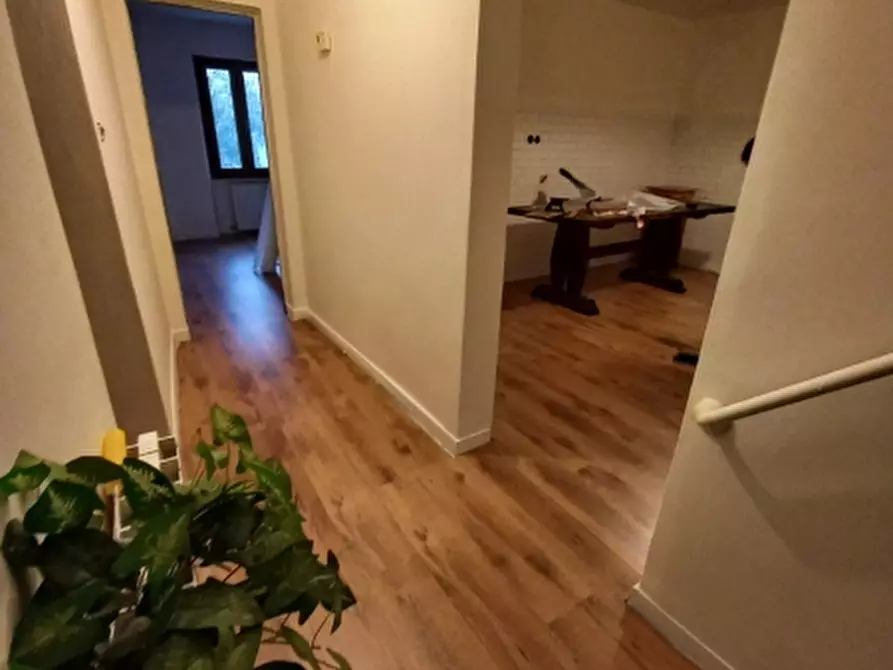 Immagine 9 di Casa semindipendente in vendita  in via colletto zacconi a Pietrasanta