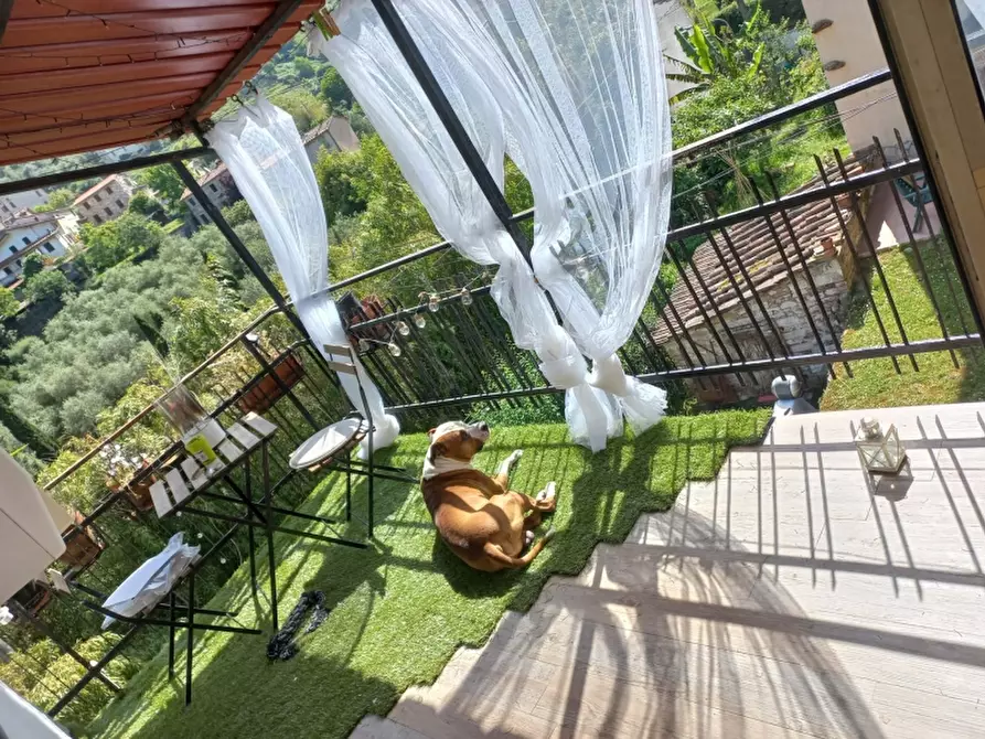 Immagine 15 di Casa semindipendente in vendita  in via colletto zacconi a Pietrasanta