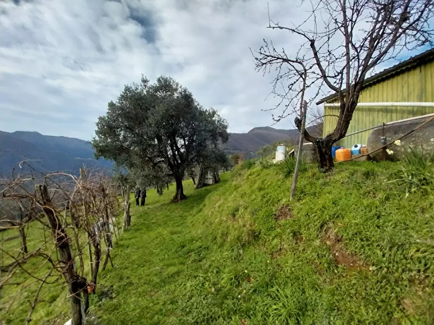 Immagine 6 di Villa in vendita  in Via comunale di retignano 1259 a Stazzema