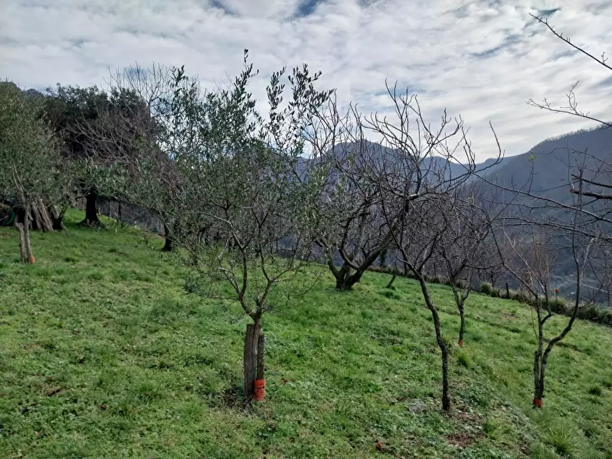 Immagine 7 di Villa in vendita  in Via comunale di retignano 1259 a Stazzema