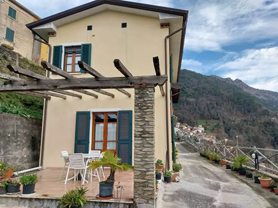 Immagine 15 di Villa in vendita  in Via comunale di retignano 1259 a Stazzema