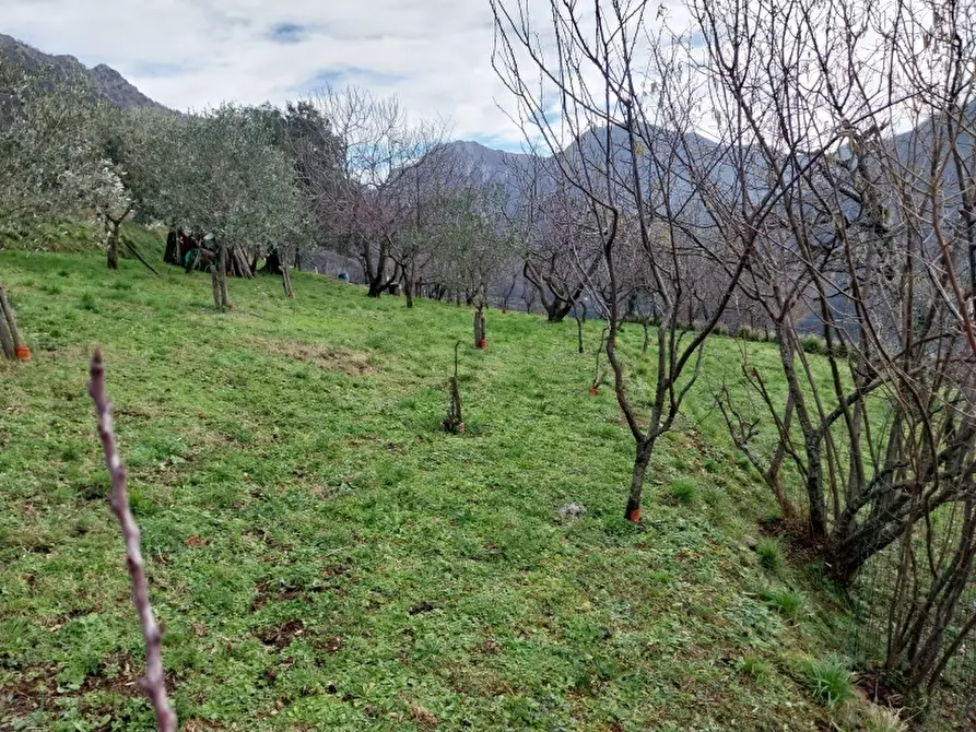 Immagine 4 di Villa in vendita  in Via comunale di retignano 1259 a Stazzema
