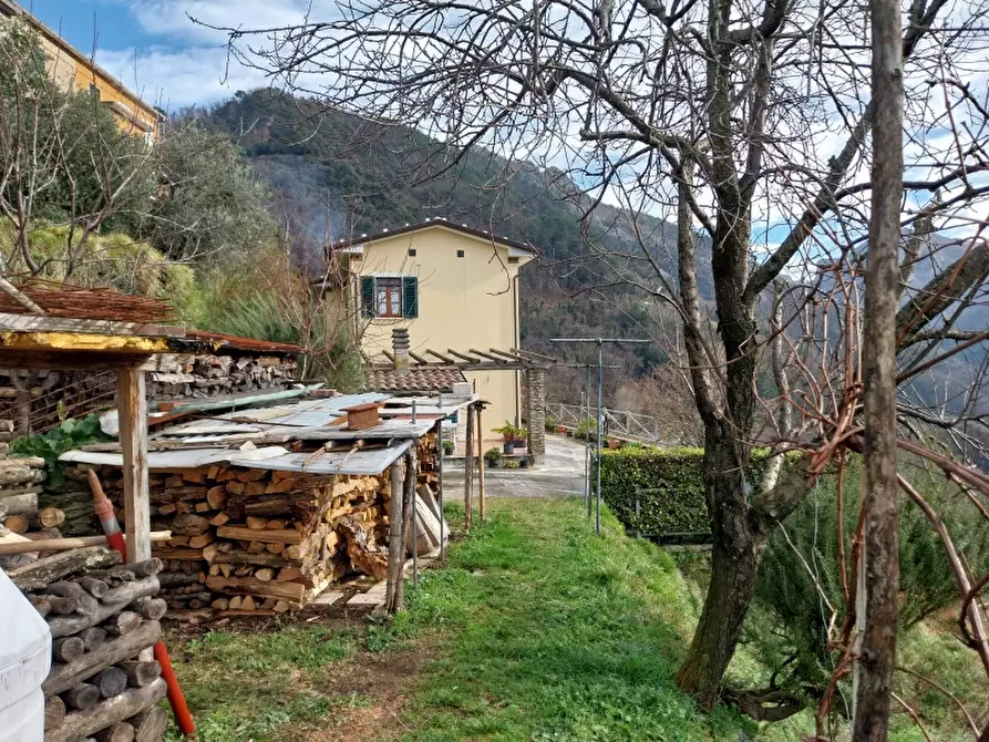 Immagine 10 di Villa in vendita  in Via comunale di retignano 1259 a Stazzema