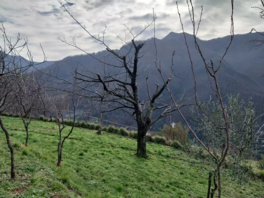 Immagine 12 di Villa in vendita  in Via comunale di retignano 1259 a Stazzema
