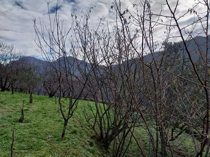 Immagine 13 di Villa in vendita  in Via comunale di retignano 1259 a Stazzema