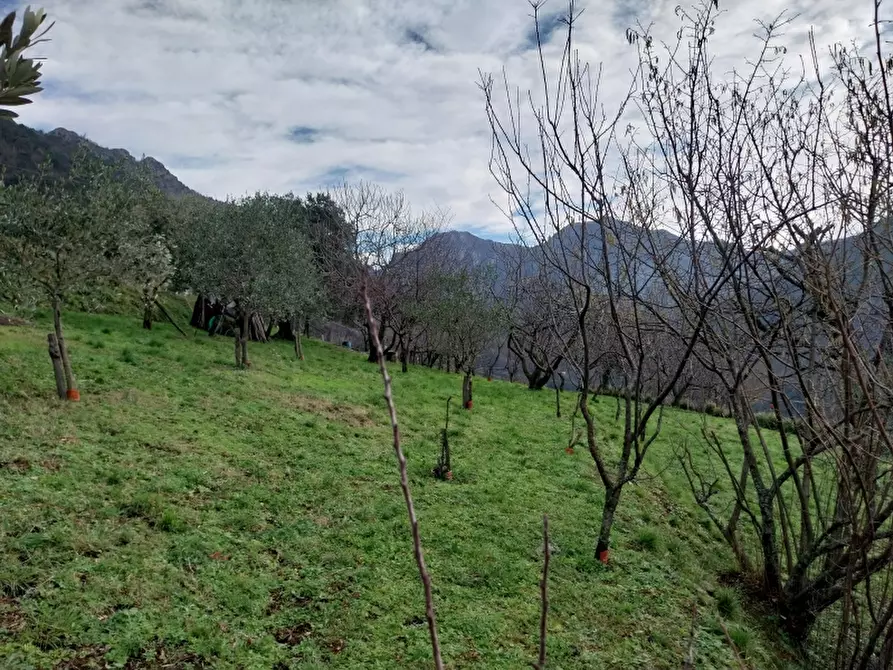 Immagine 14 di Villa in vendita  in Via comunale di retignano 1259 a Stazzema