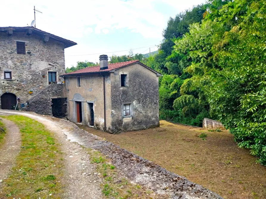 Immagine 1 di Casa indipendente in vendita  in via solaio a Seravezza