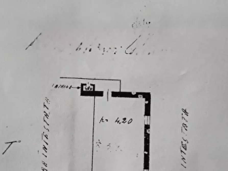 Immagine 4 di Casa indipendente in vendita  in Via Del Padule a Pietrasanta