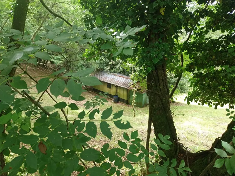 Immagine 2 di Baita in vendita  in via trescolli a Camaiore