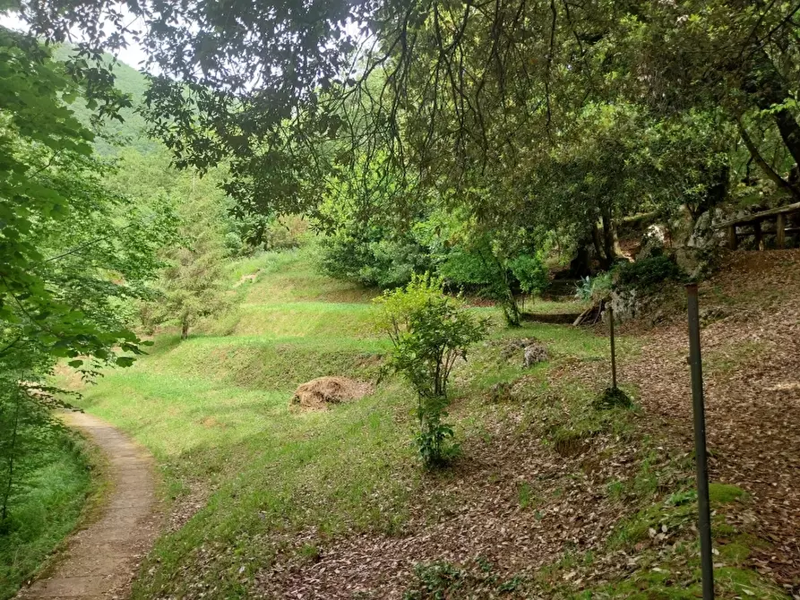 Immagine 3 di Baita in vendita  in via trescolli a Camaiore