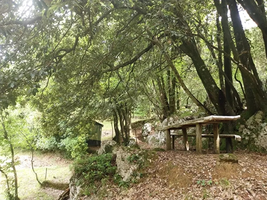 Immagine 4 di Baita in vendita  in via trescolli a Camaiore