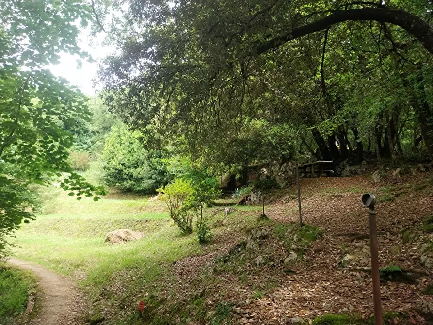 Immagine 6 di Baita in vendita  in via trescolli a Camaiore