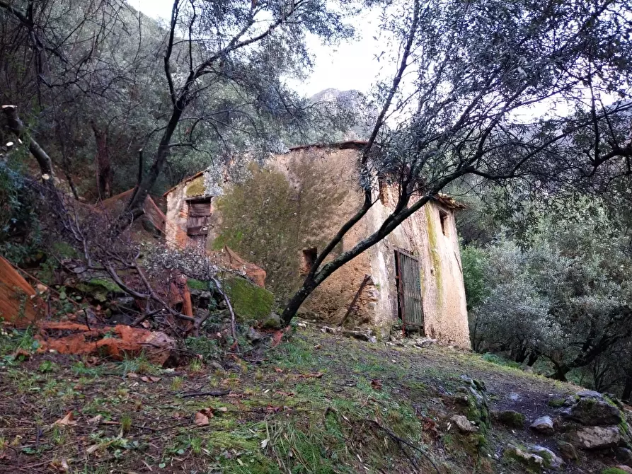 Immagine 2 di Terreno agricolo in vendita  in Via per casoli a Camaiore