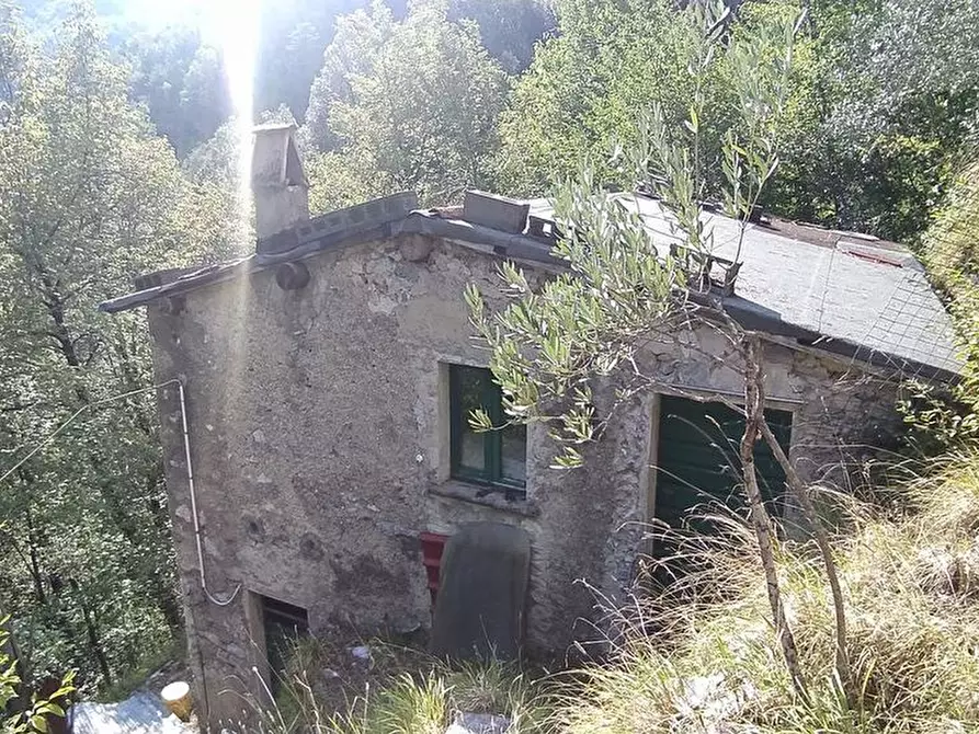 Immagine 2 di Casa indipendente in vendita  in Via Provinciale a Stazzema