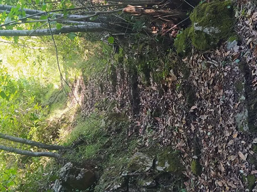 Immagine 4 di Casa indipendente in vendita  in Via Provinciale a Stazzema