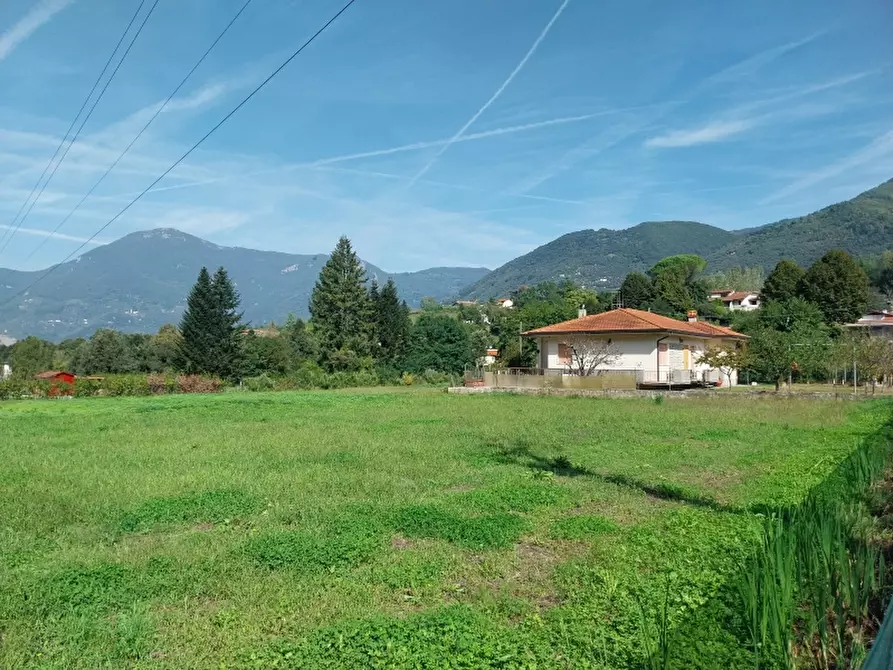 Immagine 5 di Casa indipendente in vendita  in Via Provinciale 4 a Camaiore