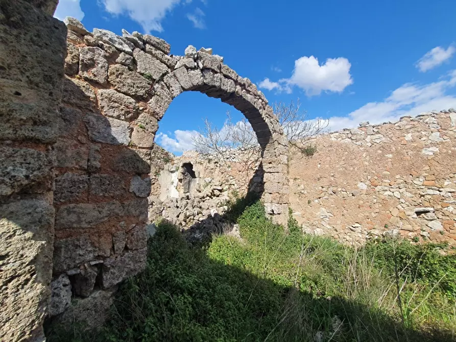 Immagine 2 di Masseria in vendita  in Contrada Occhiazzi a Ruffano