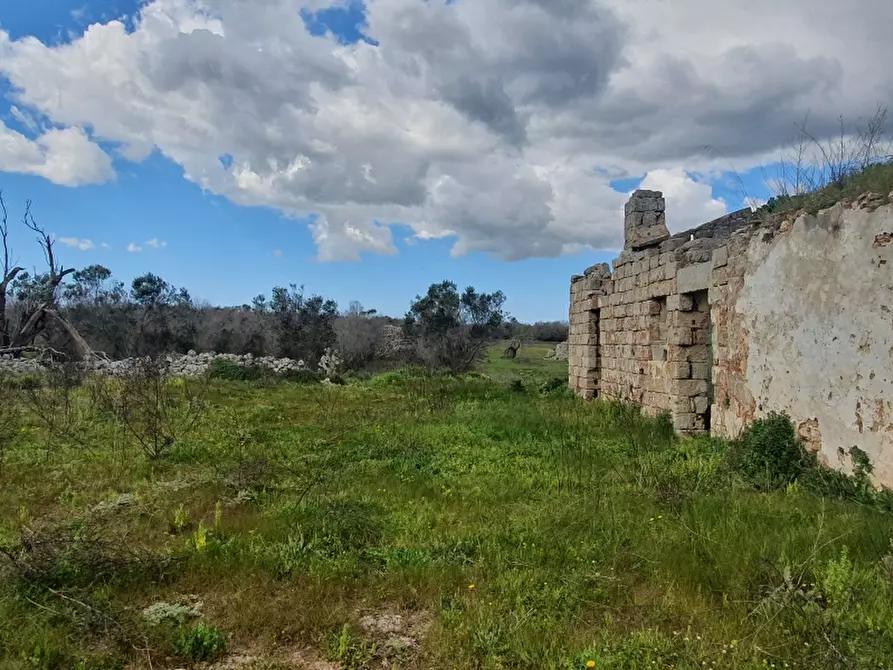 Immagine 9 di Masseria in vendita  in Contrada Occhiazzi a Ruffano